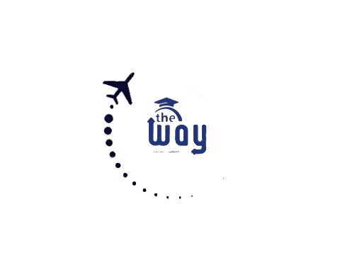 Aviator training academy